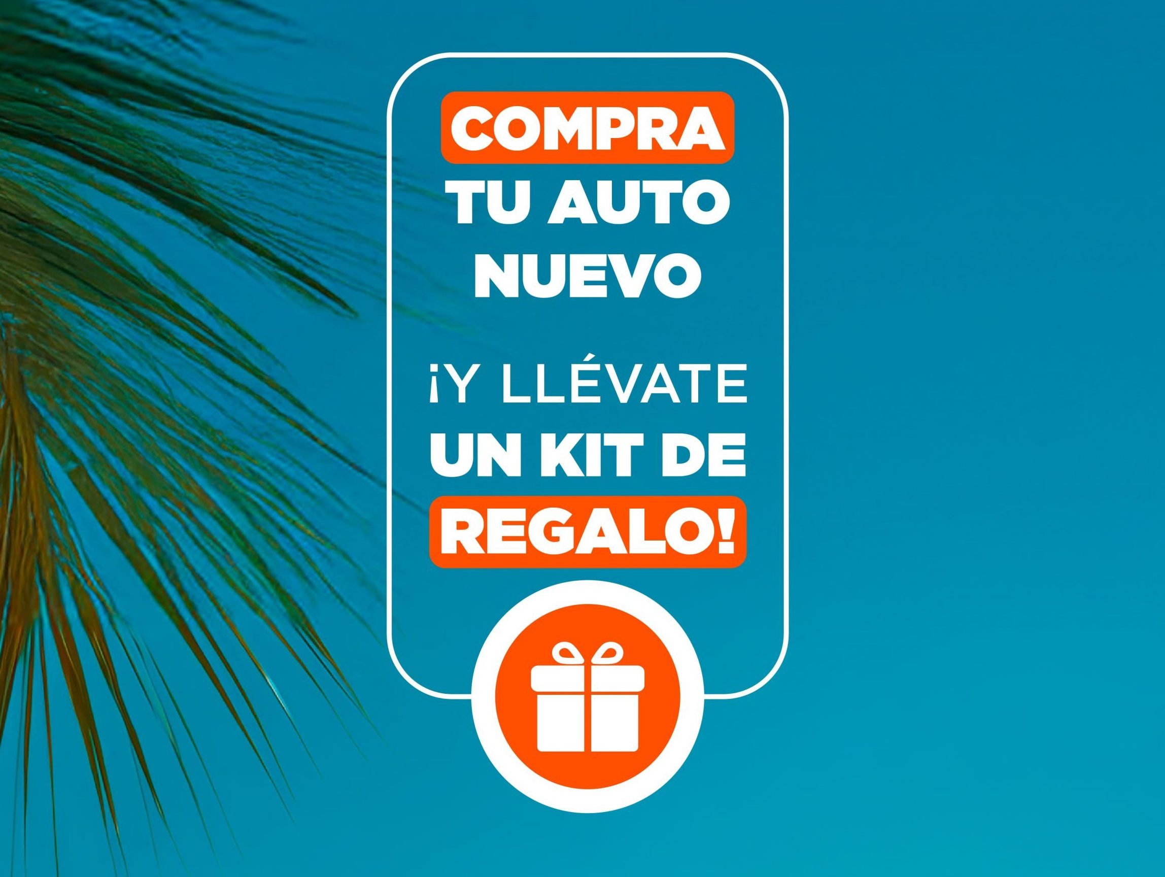 Kit de Verano
