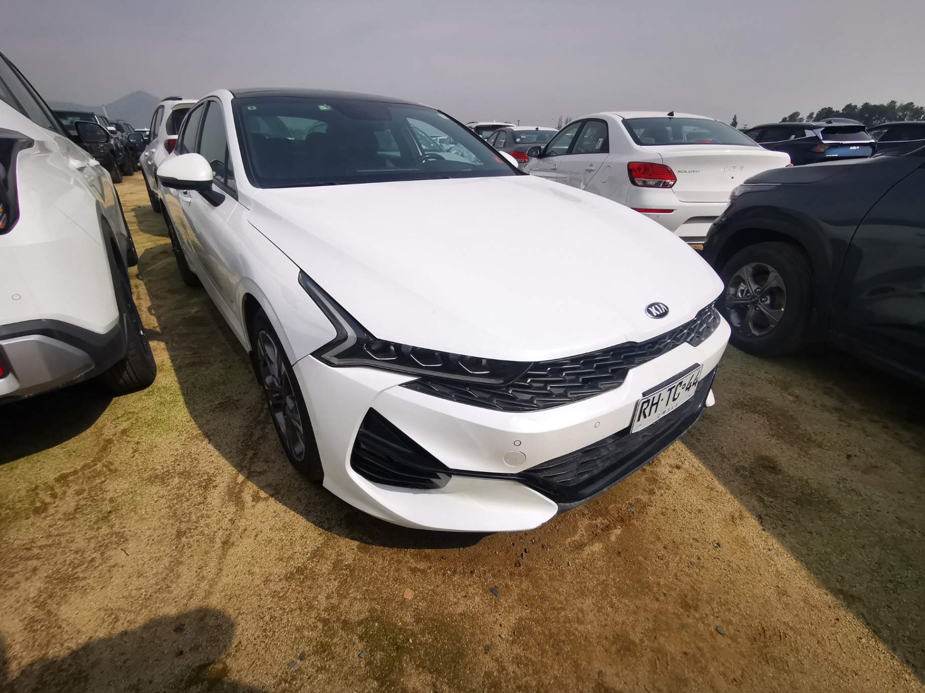 Kia K5